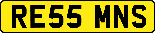 RE55MNS
