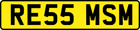RE55MSM