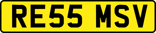 RE55MSV