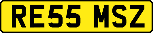 RE55MSZ
