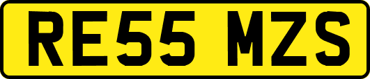 RE55MZS
