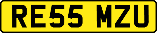 RE55MZU