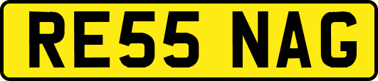RE55NAG
