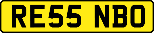 RE55NBO