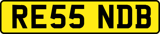 RE55NDB