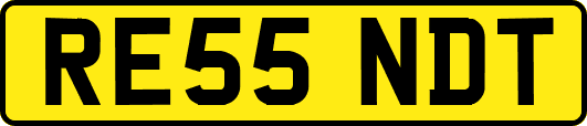 RE55NDT