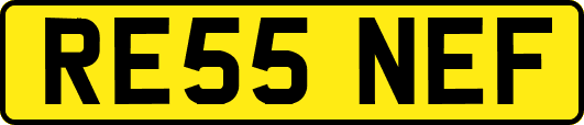 RE55NEF