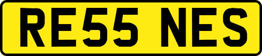 RE55NES