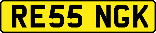 RE55NGK