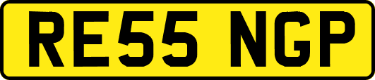 RE55NGP