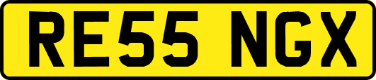 RE55NGX