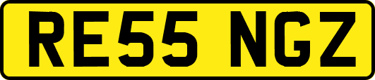 RE55NGZ
