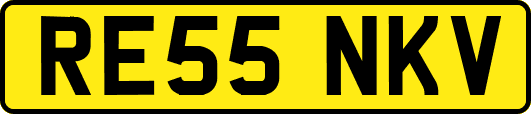 RE55NKV