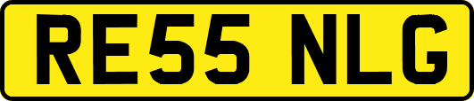 RE55NLG
