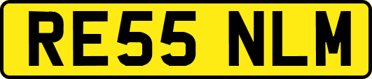 RE55NLM