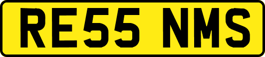 RE55NMS