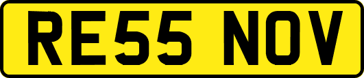 RE55NOV