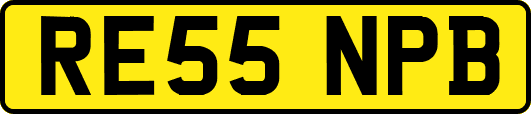 RE55NPB