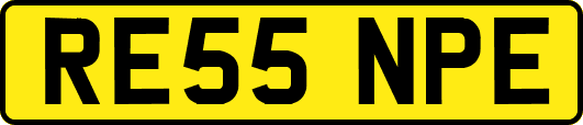 RE55NPE