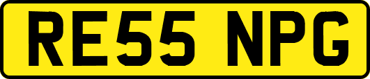 RE55NPG