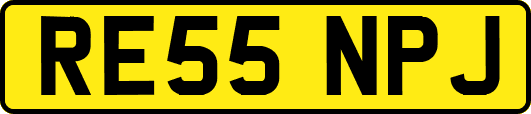 RE55NPJ