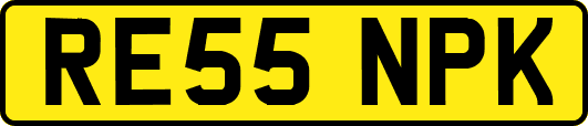 RE55NPK