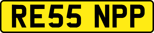 RE55NPP