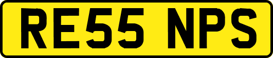 RE55NPS