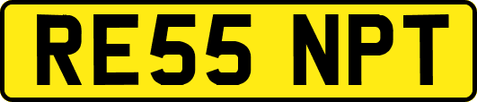 RE55NPT