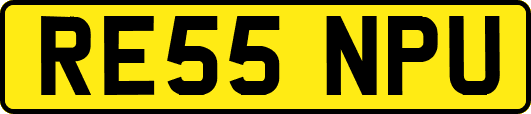 RE55NPU