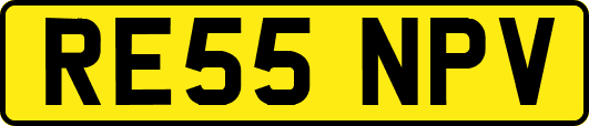 RE55NPV