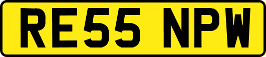 RE55NPW