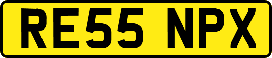 RE55NPX