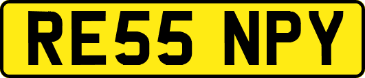RE55NPY