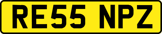 RE55NPZ