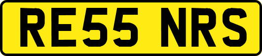 RE55NRS