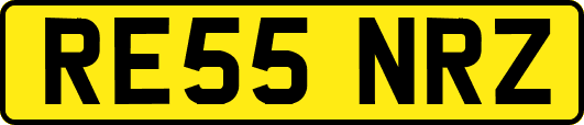 RE55NRZ
