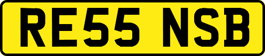 RE55NSB