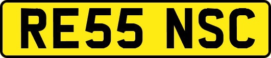 RE55NSC