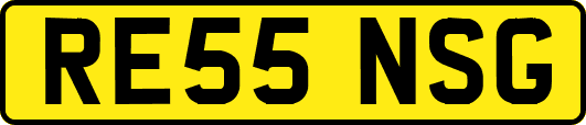 RE55NSG