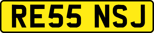 RE55NSJ