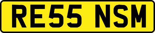 RE55NSM
