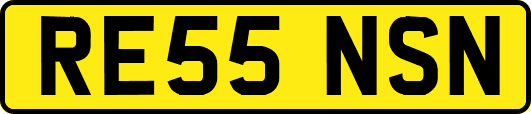RE55NSN