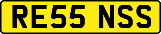 RE55NSS