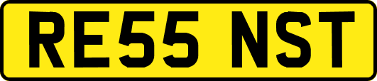 RE55NST