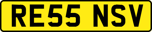RE55NSV