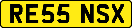 RE55NSX