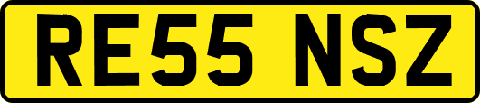 RE55NSZ