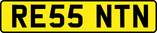 RE55NTN