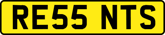 RE55NTS